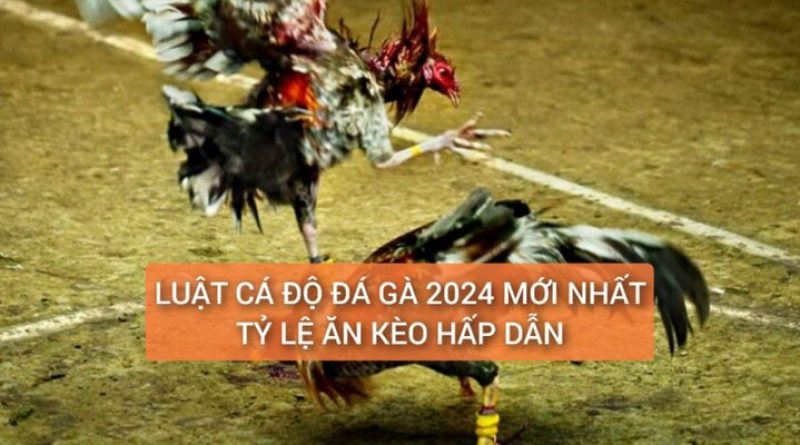 Luật Cá Độ Đá Gà 2024 Chi Tiết Và Tỷ Lệ Ăn Cược Hấp Dẫn 