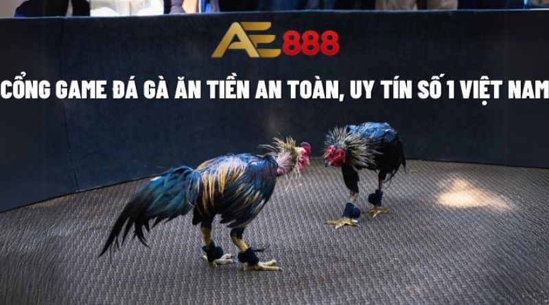 Mẹo chơi đá gà AE888 hiệu quả dành cho người mới