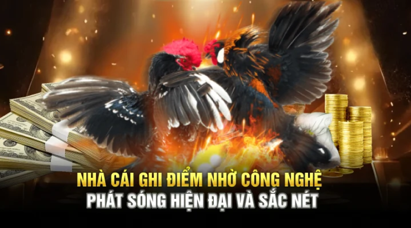 Review toàn cảnh đá gà tại X88 – Chơi là thấy lời ngay