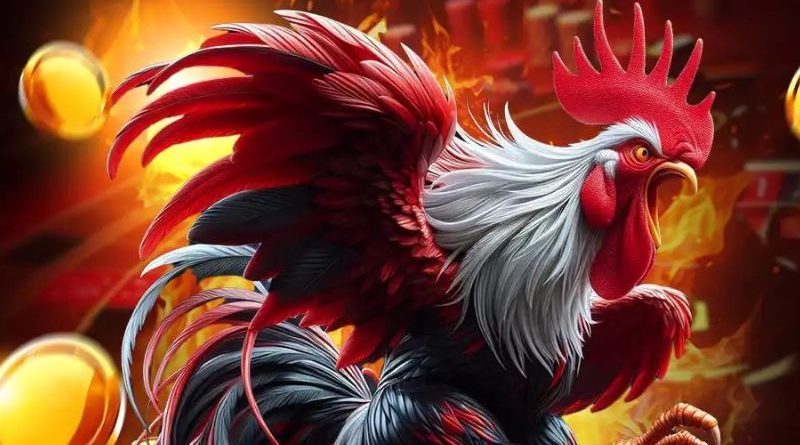 Đá gà Bin88 – Thưởng thức trận đấu đá gà kịch tính